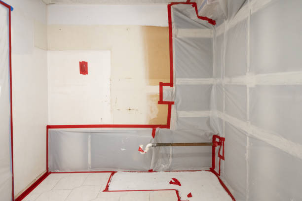 Best Post-Construction Mold Inspection  in Independence, OR