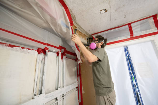 Best Mold Documentation for Insurance Claims  in Independence, OR