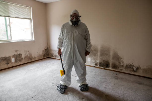 Best Mold Odor Removal Services  in Independence, OR